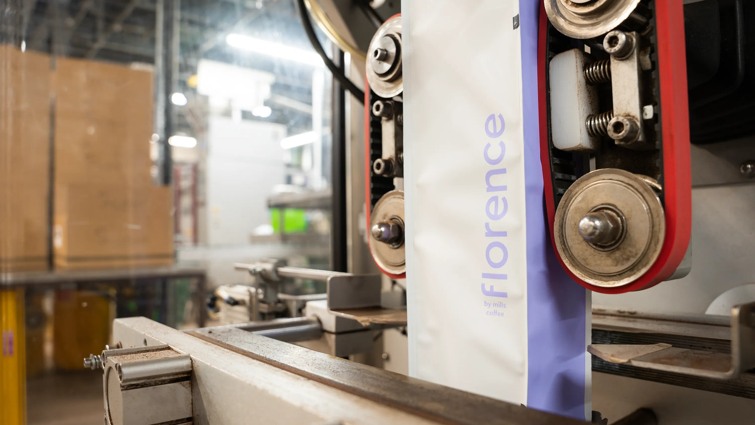 Empowering Creators: The Creator Economy's Affinity for White & Private Label Coffee Supply